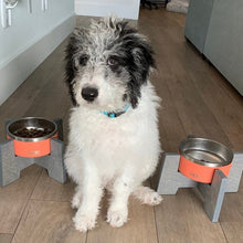 Load image into Gallery viewer, Yeti Raised Dog Bowl Stand - Bowl not included
